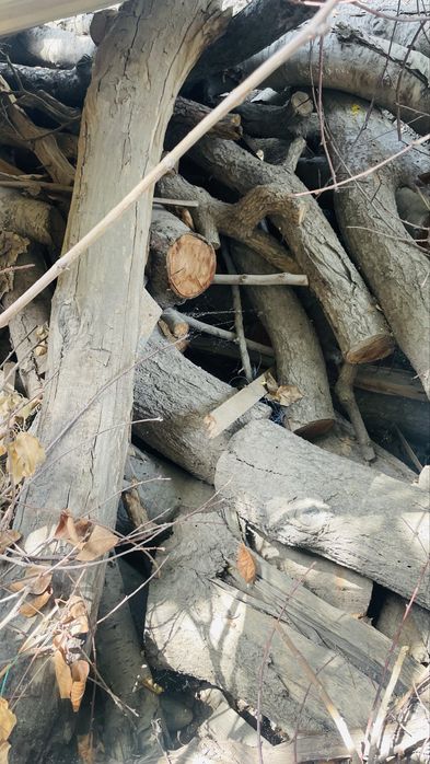 Дрова, Отин (Самовывоз)