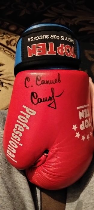 Топ Тен перчатки с потпесю Серика Сапиева