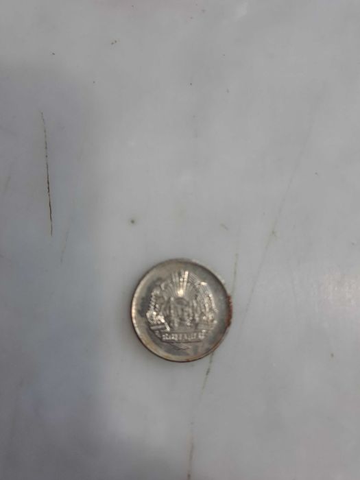Moneda de 100 lei an 1993