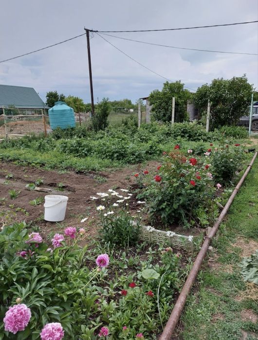 Продам дачу в Асане