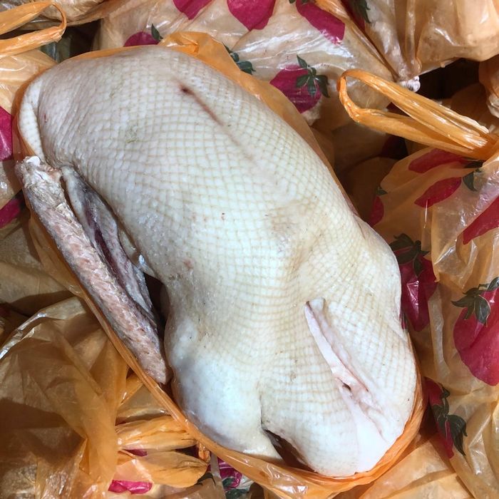 Мясо гусей / Гуси