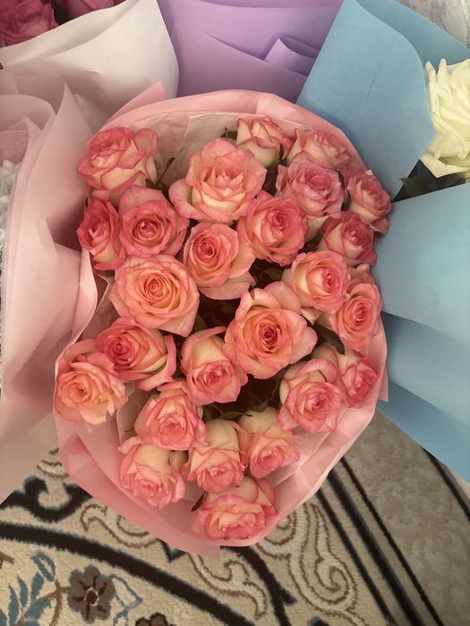 цветы свежый арзан багада сатылады