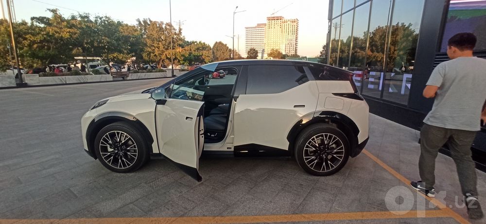 Zeekr X 2024 Flagship