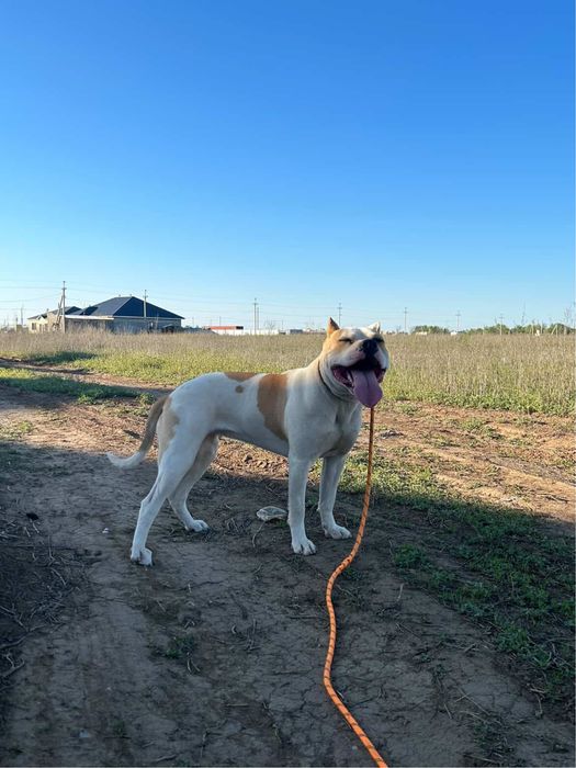 Ищем кабеля для вязки