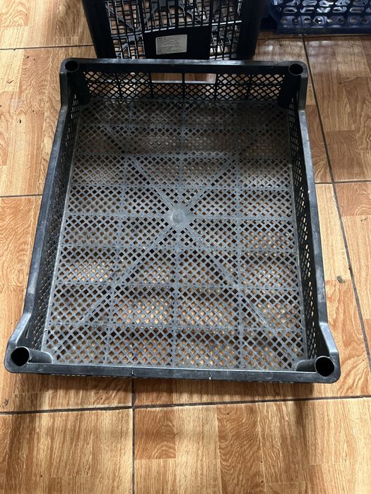 Тарра овощи посуда