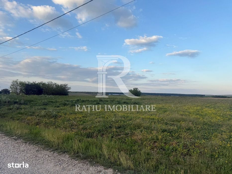 Teren extravilan | Păușa | Bihor