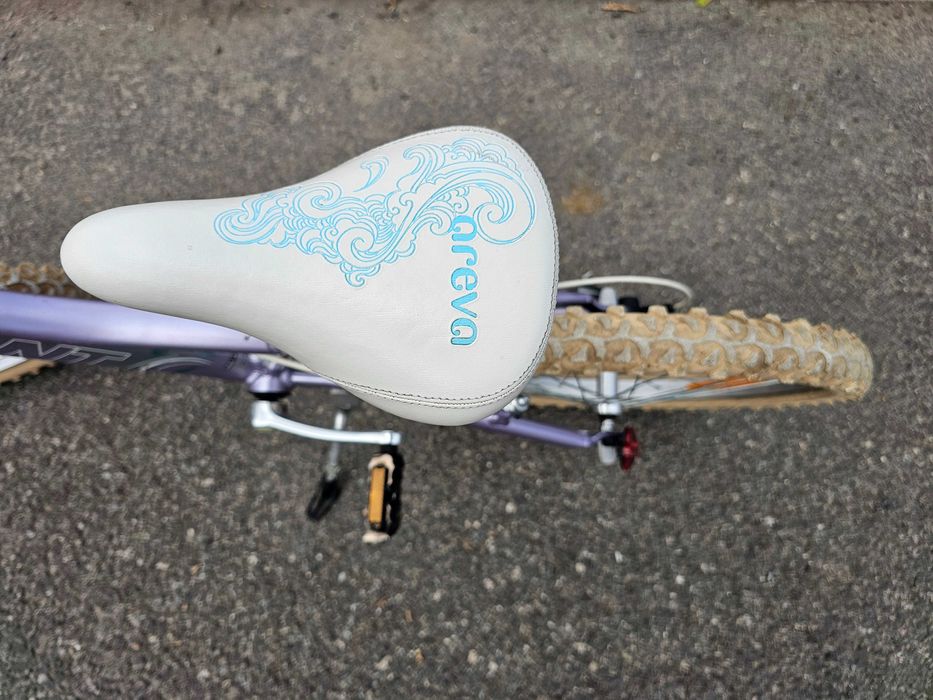 Bicicleta MTB Giant Areva 20’’