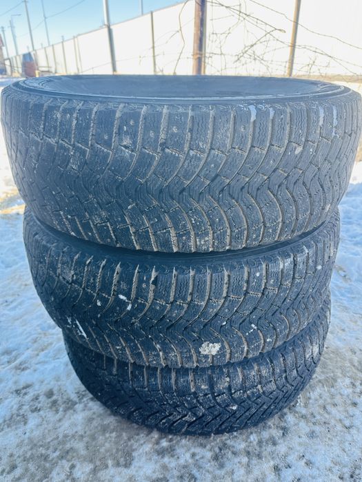 Коп журилмеген покырышкалар сатылымда