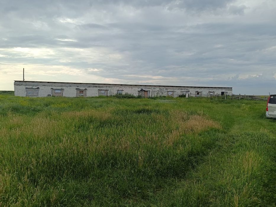 Продам животноводческое хозяйство