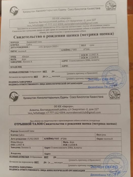 продается Тазы недорого