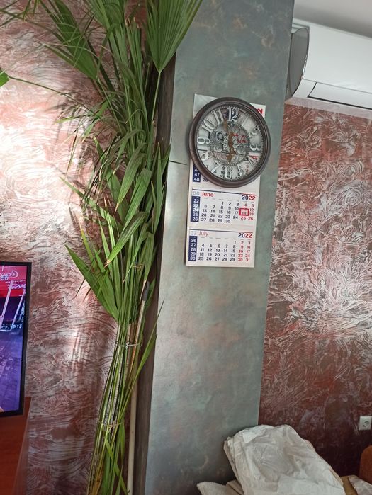 Екзотична палма палмата се продава поради нейната големина