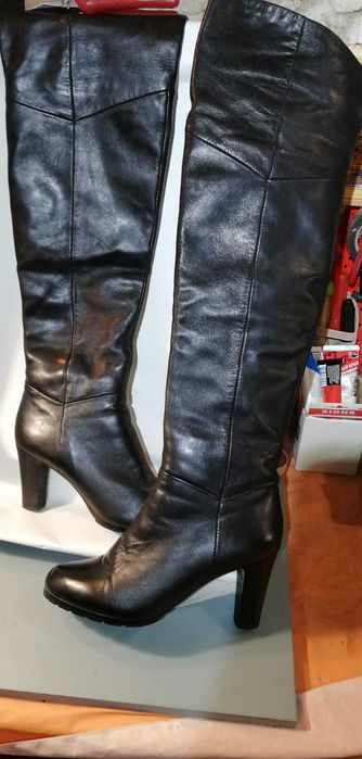 Женские ботфорты BASCONi