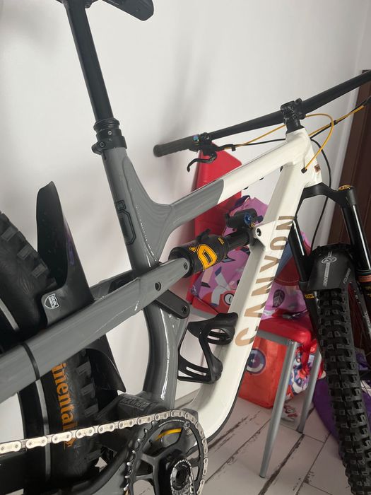 Canyon spectral Fabio wibmer 2023