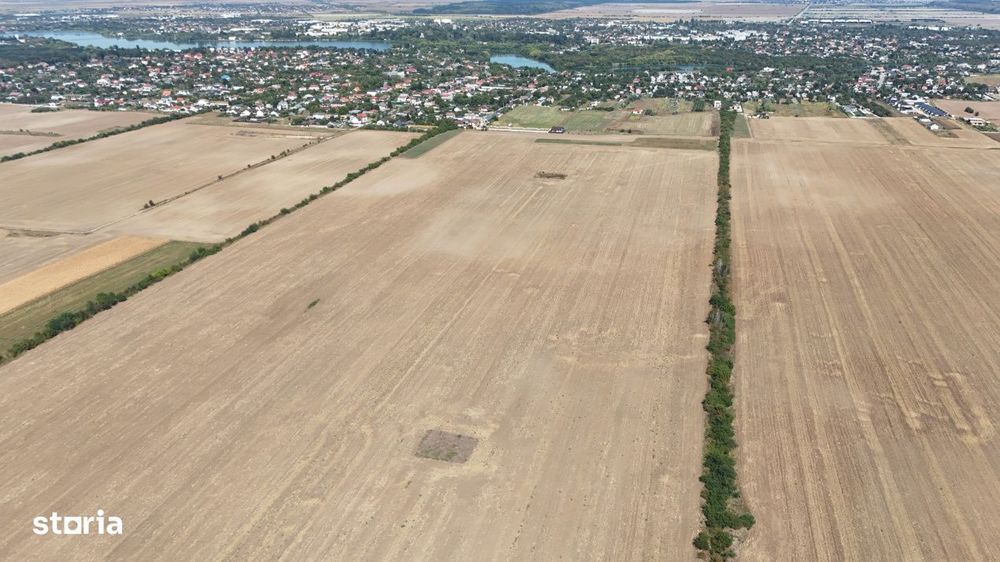 Teren Buftea langa padure