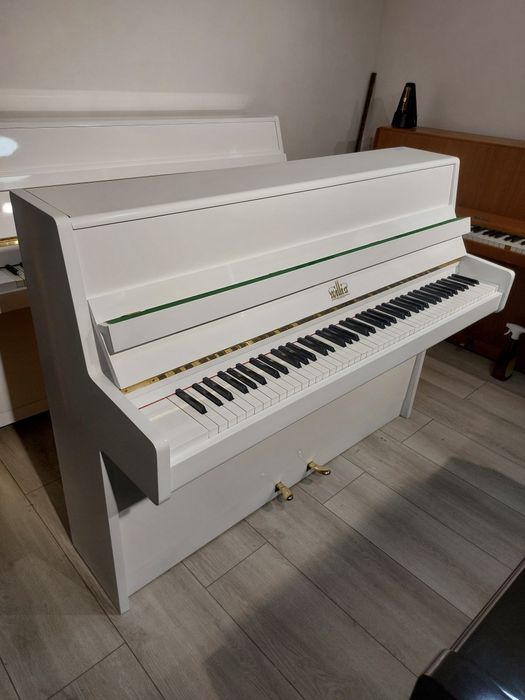 Piane & pianine   (transport gratuit în toată țara, gar