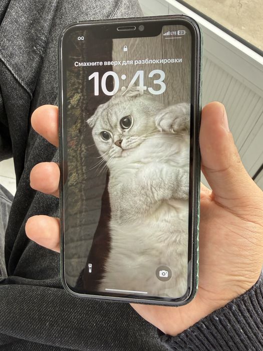 Iphone XR.