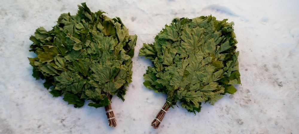 Веники березовые