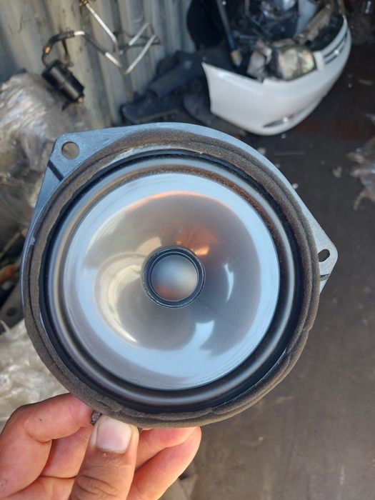 Ипсум ipsum ипсун пикник гайя