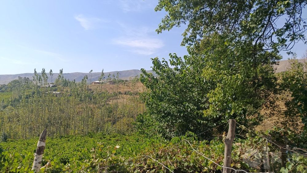 yer uchastka sotiladi