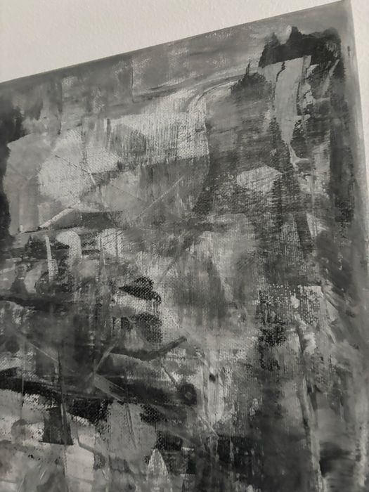 Tablou pictat de mana cal alb-negru gri