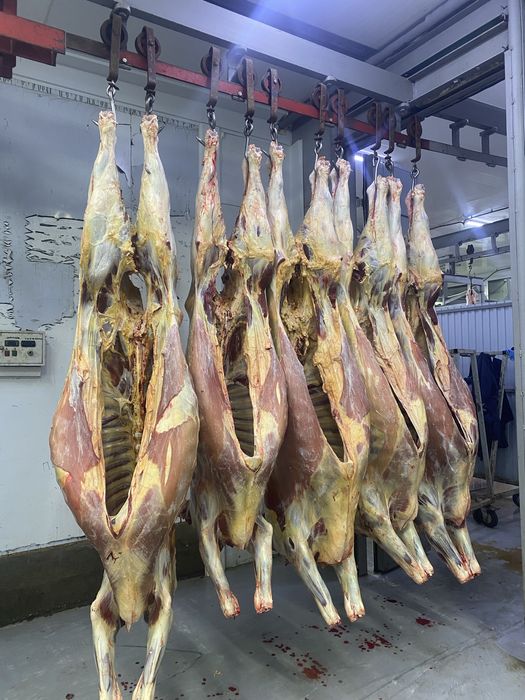 Субпродукиы говяжьи