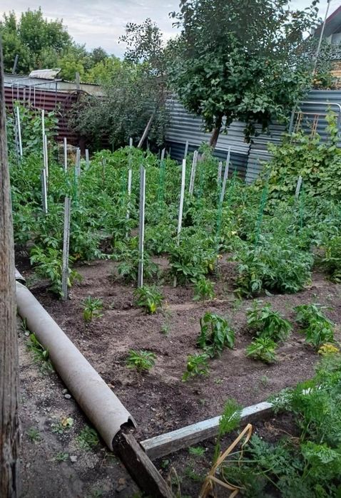 Продам дом Западный