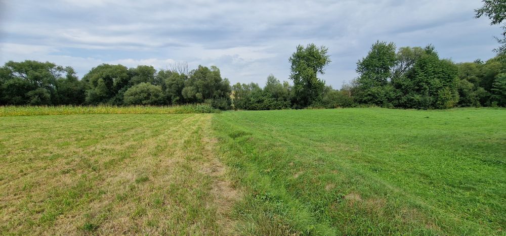 Terenuri intravilane alăturate 30 ari si 26 ari ideal casă sau arabil