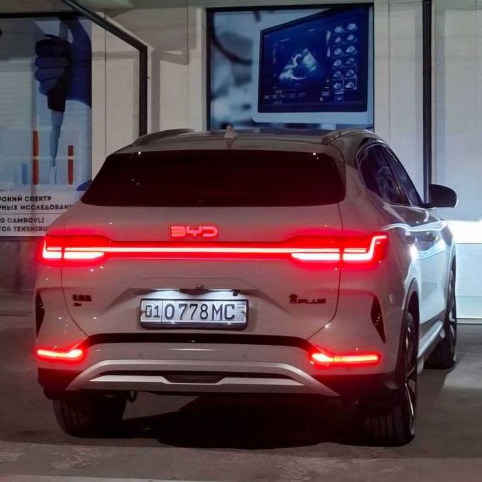 Шошилинч, SONG Plus EV 605 km. 2024/25й. 12 ой
