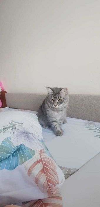 Лтдадим принцессу в хорошие руки