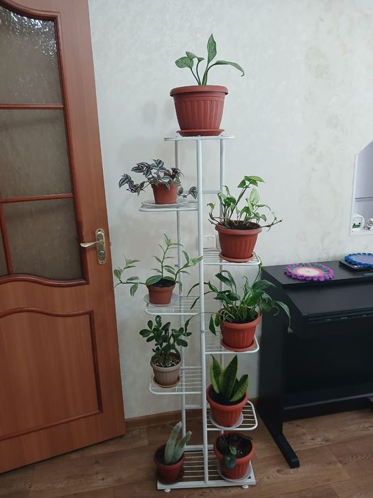 Полочка под цветы