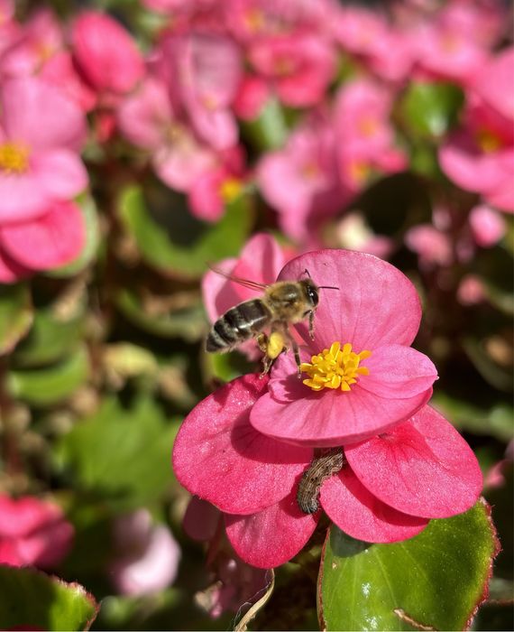 Фотограф любител