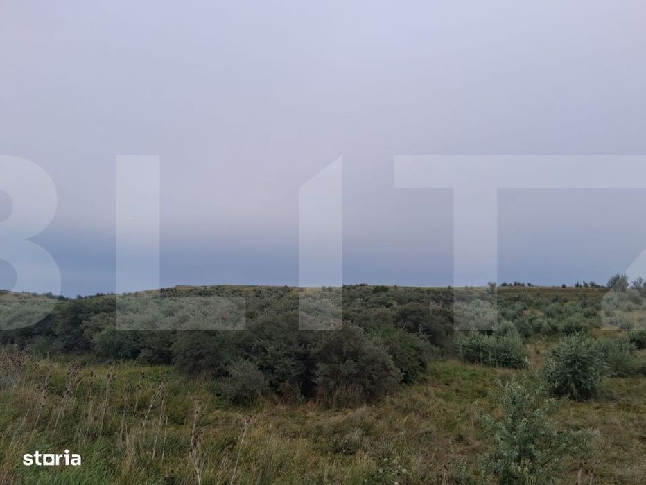 Teren extravilan, plantatie de catina 17.300 mp, comuna Unteni, Botosa
