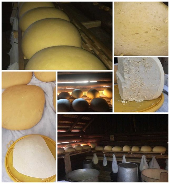 Produse lactate tradiționale din ferma noastră - caș, urdă