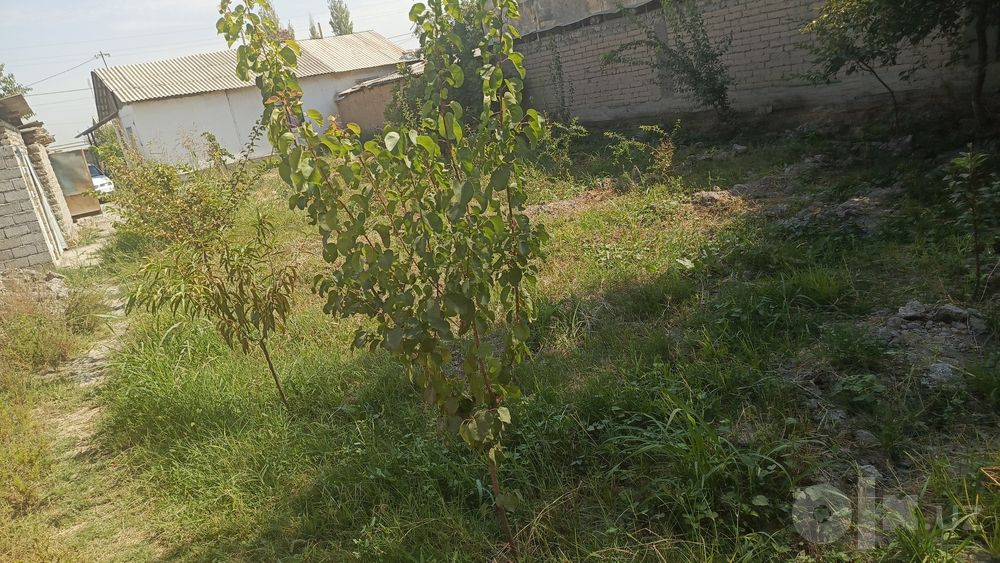 8 sotix uchastka sotiladi kadastr hujjatlari joyida