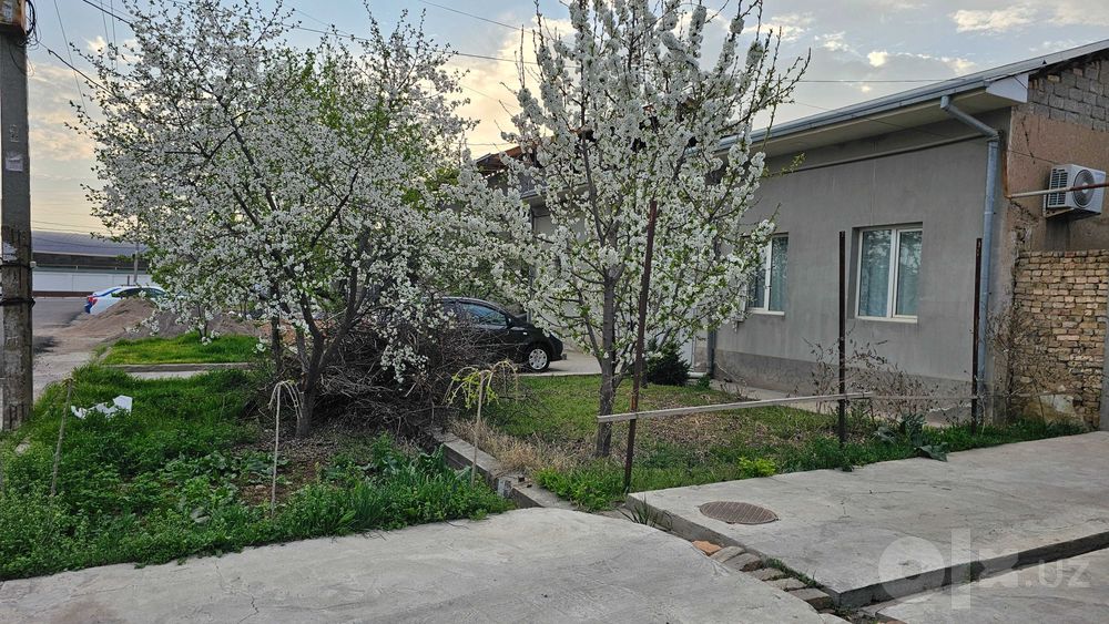 Qibrayda 6,56 sotixli 6 xonali tayyor uy — Toshkentdan 1 km