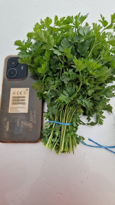 Vând frunja de pătrunjel la legătură