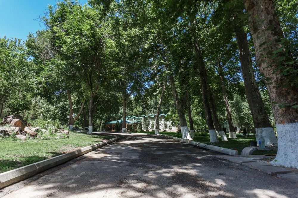 Чирчик. Участок. Роща Чинар 95-Соток  под любой вид деятельности.