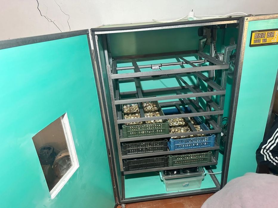 Инкубатор сатылады