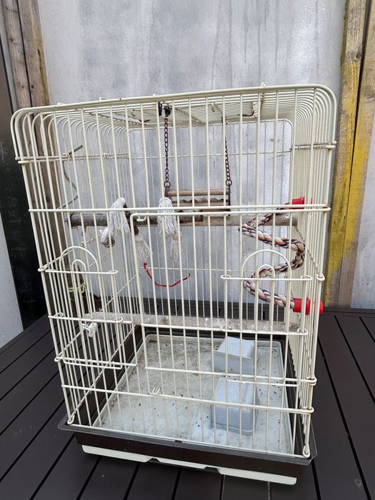 Colivie 43x43x65