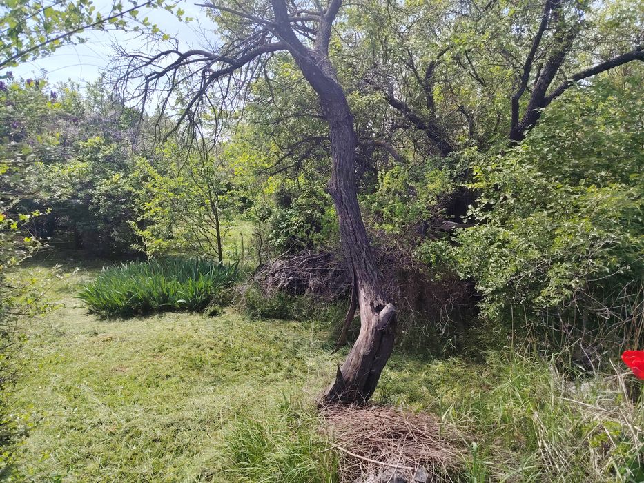 Продам дачу срочно