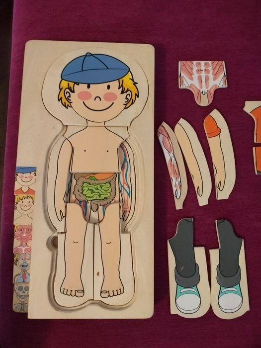 Puzzle stratificat lemn corpul uman