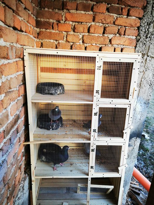 Къща за птици    .