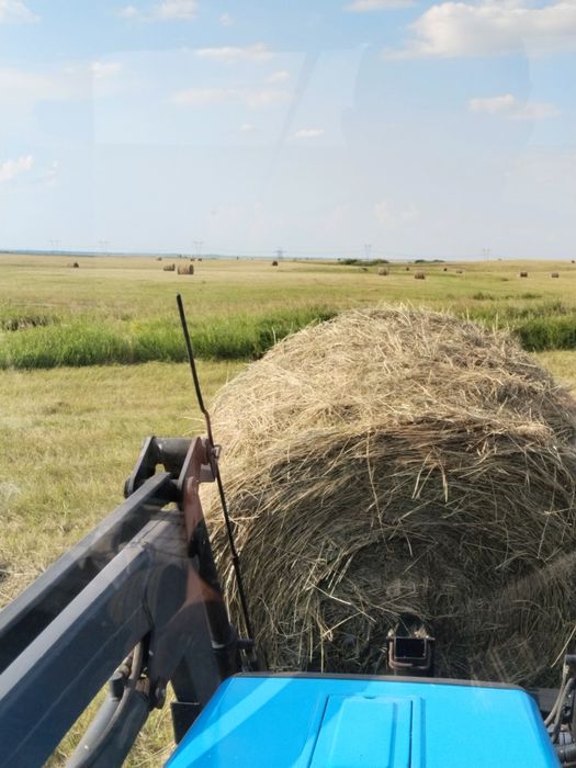 Продам сено в рулонах