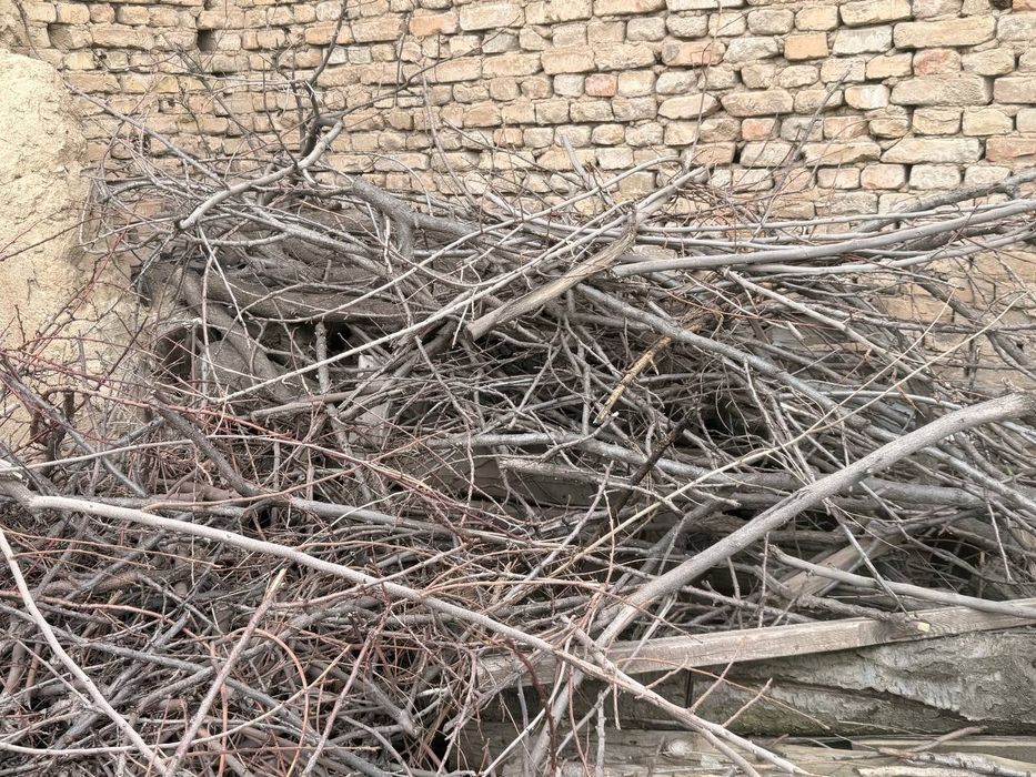 Otin srochna opketish sharti bilan arzonga beriladi 500 000 som