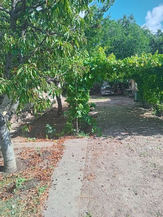 Vând teren intravilan şi casă bătrânească
