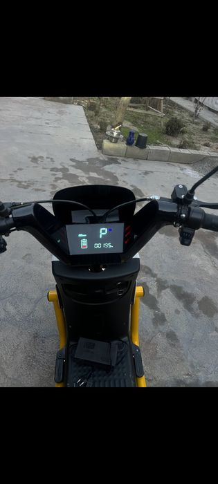 Elektor sukutur yangidek