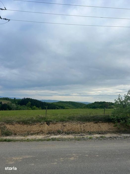 Teren De Vanzare In Sinteu