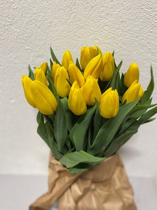 Тюльпаны на 8 марта