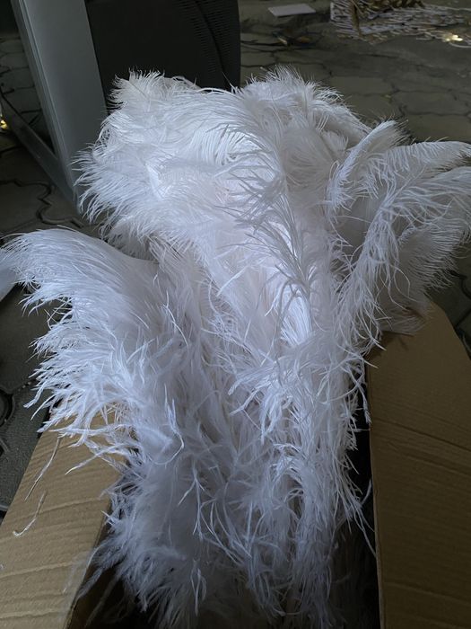 белые страусиные перья