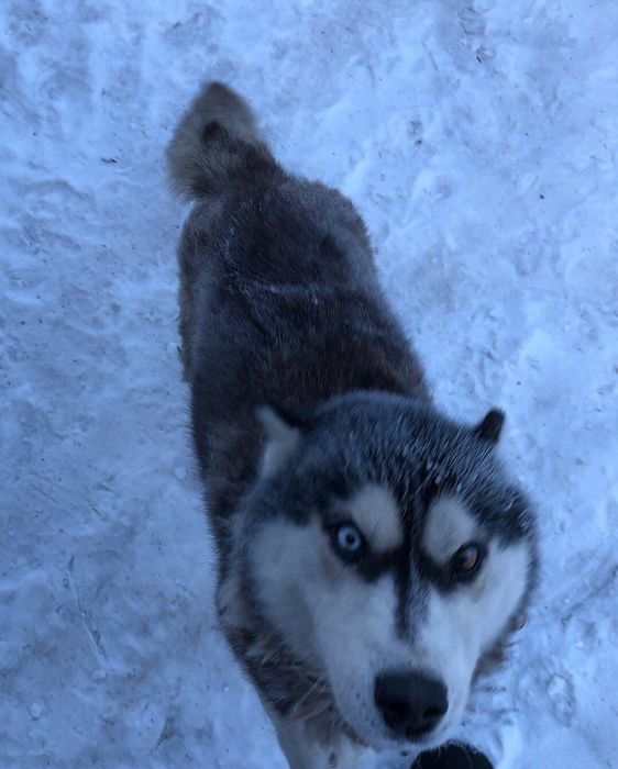 Пропал!!! Помогите Найти!